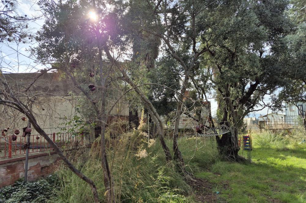 C21 Cius; Denize Kenarı 580 m2 Bahçe İçerisinde Müstakil Ev-Kapaklı