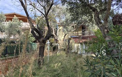 C21 Cius; Denize Kenarı 580 m2 Bahçe İçerisinde Müstakil Ev-Kapaklı