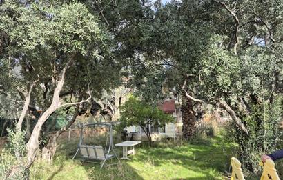 C21 Cius; Denize Kenarı 580 m2 Bahçe İçerisinde Müstakil Ev-Kapaklı