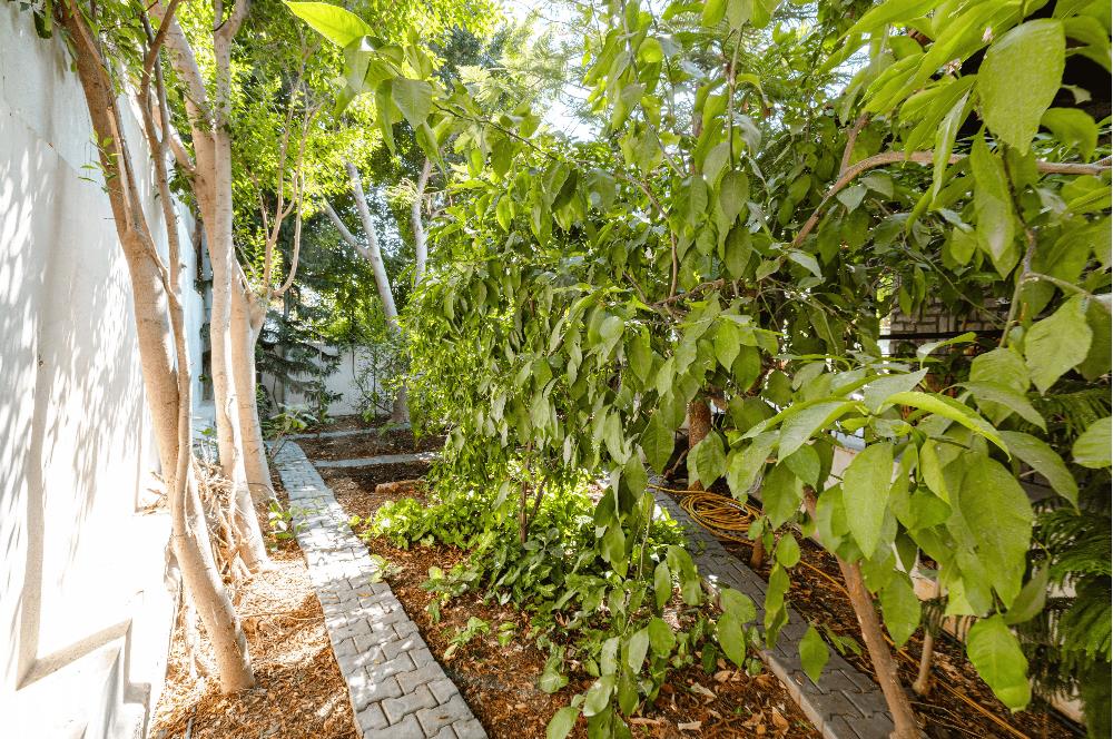 Bodrum Kumbahçe Satılık 5+1 Müstakil Yarı Taş Villa ve 2+1 Daire