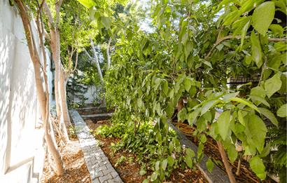 Bodrum Kumbahçe Satılık 5+1 Müstakil Yarı Taş Villa ve 2+1 Daire