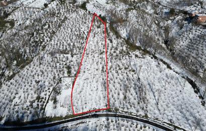 CENTURY 21'DEN PERŞEMBE MEDRESEÖNÜ'nde 2113 m2 YATIRIMLIK BAHÇE