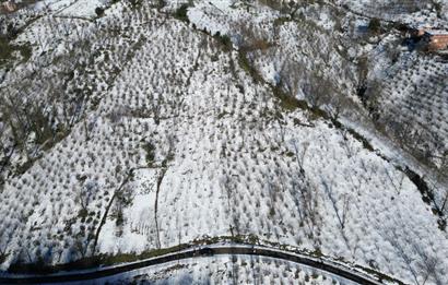 CENTURY 21'DEN PERŞEMBE MEDRESEÖNÜ'nde 2113 m2 YATIRIMLIK BAHÇE