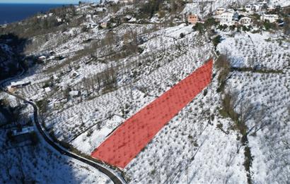 CENTURY 21'DEN PERŞEMBE MEDRESEÖNÜ'nde 2113 m2 YATIRIMLIK BAHÇE