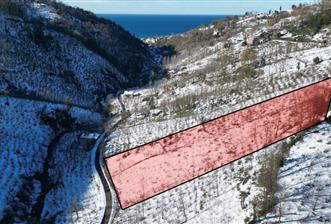 CENTURY 21'DEN PERŞEMBE MEDRESEÖNÜ'nde 2113 m2 YATIRIMLIK BAHÇE - 3 - 31288