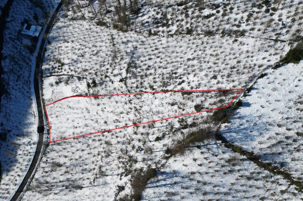 CENTURY 21'DEN PERŞEMBE MEDRESEÖNÜ'nde 2113 m2 YATIRIMLIK BAHÇE