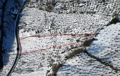 CENTURY 21'DEN PERŞEMBE MEDRESEÖNÜ'nde 2113 m2 YATIRIMLIK BAHÇE