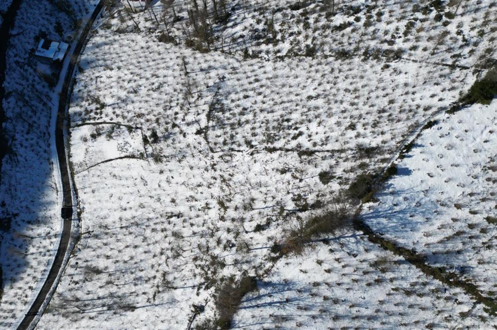 CENTURY 21'DEN PERŞEMBE MEDRESEÖNÜ'nde 2113 m2 YATIRIMLIK BAHÇE