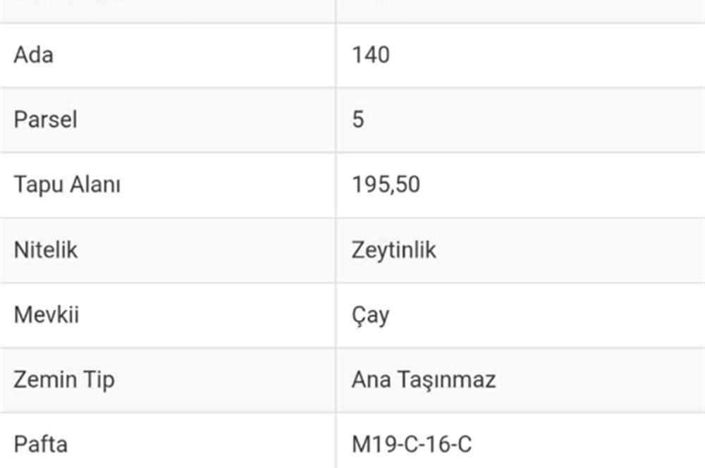 AYDIN KARPUZLU CUMALAR'DA SATILIK ZEYTİNLİK