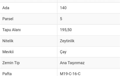 AYDIN KARPUZLU CUMALAR'DA SATILIK ZEYTİNLİK