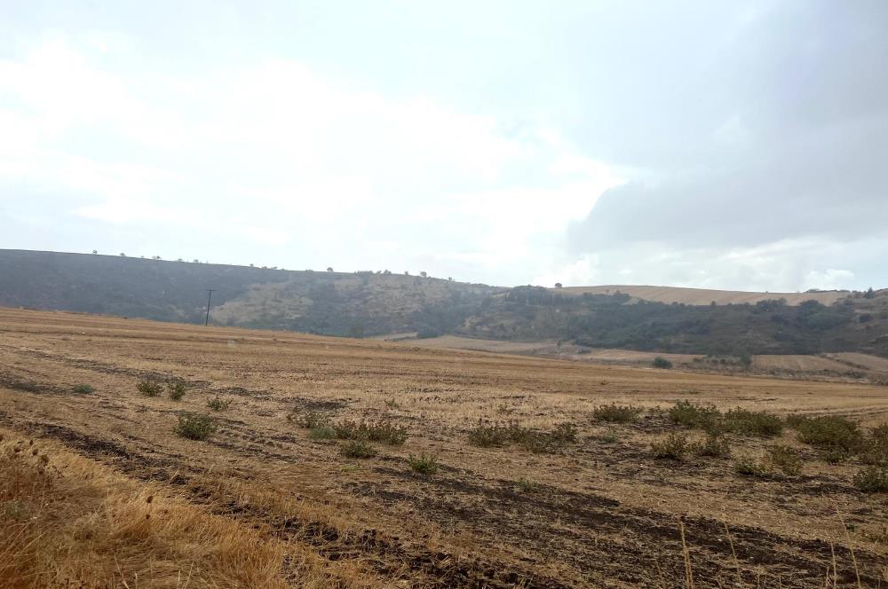 Bandırma da Satılık Arsa