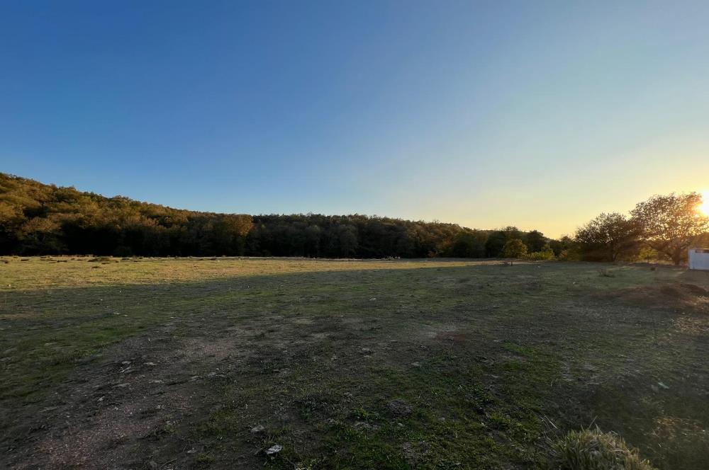 Gebze Cumaköyde Satılık Arsa