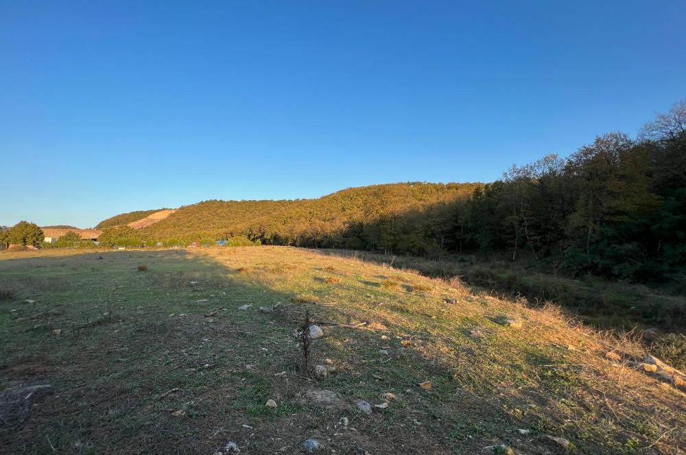 Gebze Cumaköyde Satılık Arsa