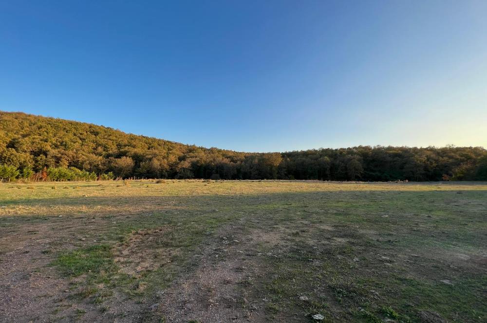 Gebze Cumaköyde Satılık Arsa