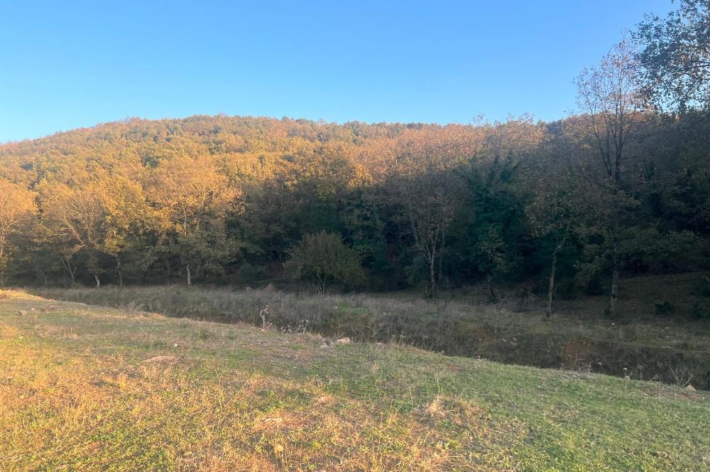 Gebze Cumaköyde Satılık Arsa