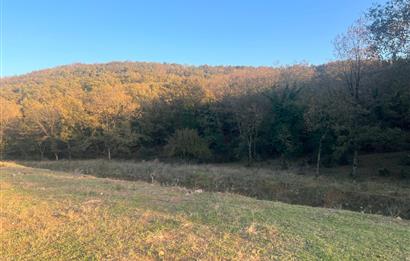 Gebze Cumaköyde Satılık Arsa