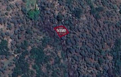 AYDIN KARPUZLU CUMALAR'DA SATILIK ZEYTİNLİK