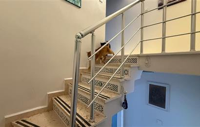 ACARLAR SİTESİNDE ÖNÜ AÇIK KONUMDA SATILIK ÇATI DUBLEKS