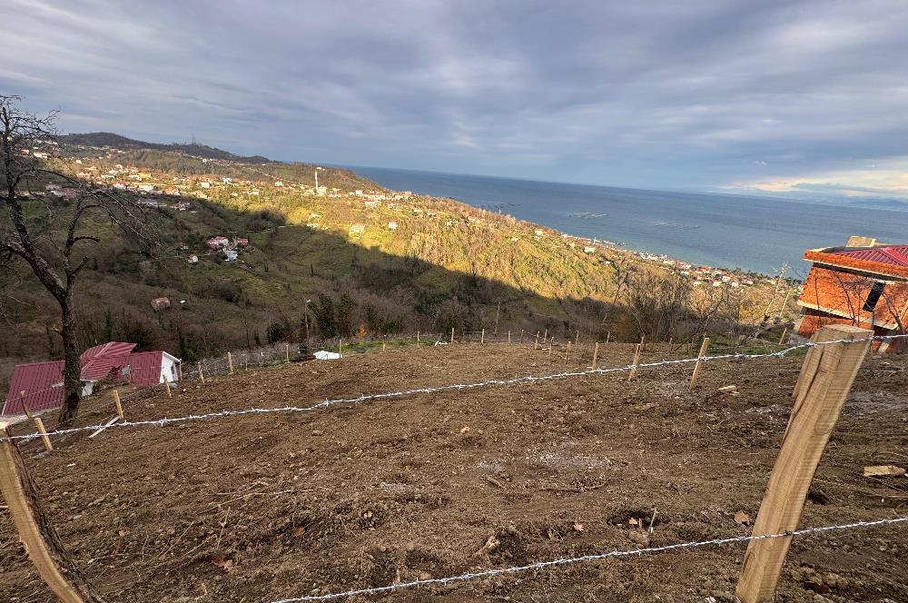 CENTURY21'DEN PERŞEMBE TARLACIK MAH.DENİZ MANZARALI PARSELLER