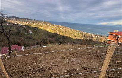 CENTURY21'DEN PERŞEMBE TARLACIK MAH.DENİZ MANZARALI PARSELLER