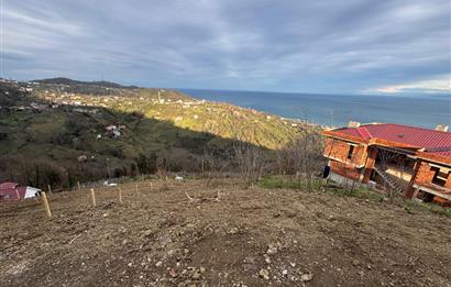 CENTURY21'DEN PERŞEMBE TARLACIK MAH.DENİZ MANZARALI PARSELLER