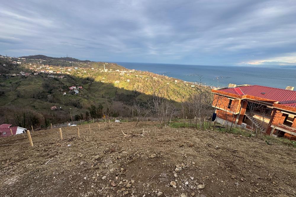 CENTURY21'DEN PERŞEMBE TARLACIK MAH.DENİZ MANZARALI PARSELLER