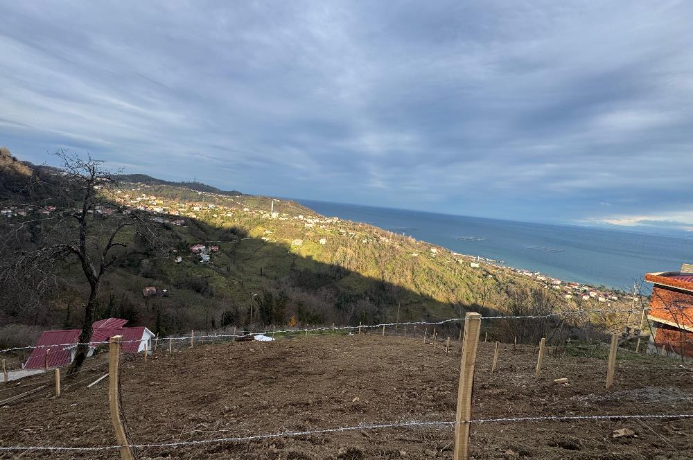 CENTURY21'DEN PERŞEMBE TARLACIK MAH.DENİZ MANZARALI PARSELLER