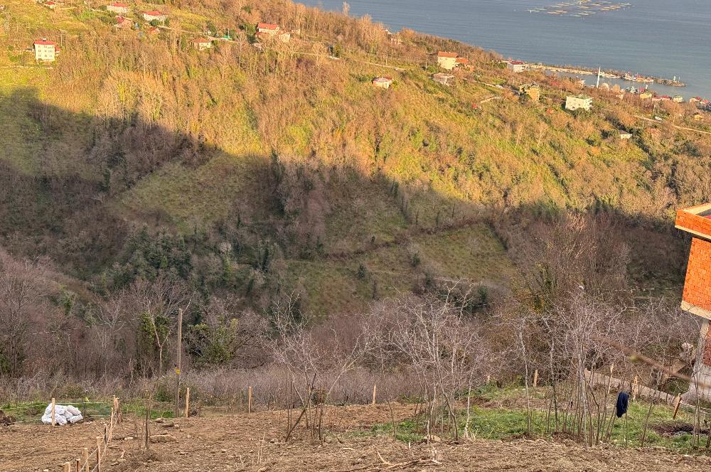 CENTURY21'DEN PERŞEMBE TARLACIK MAH.DENİZ MANZARALI PARSELLER