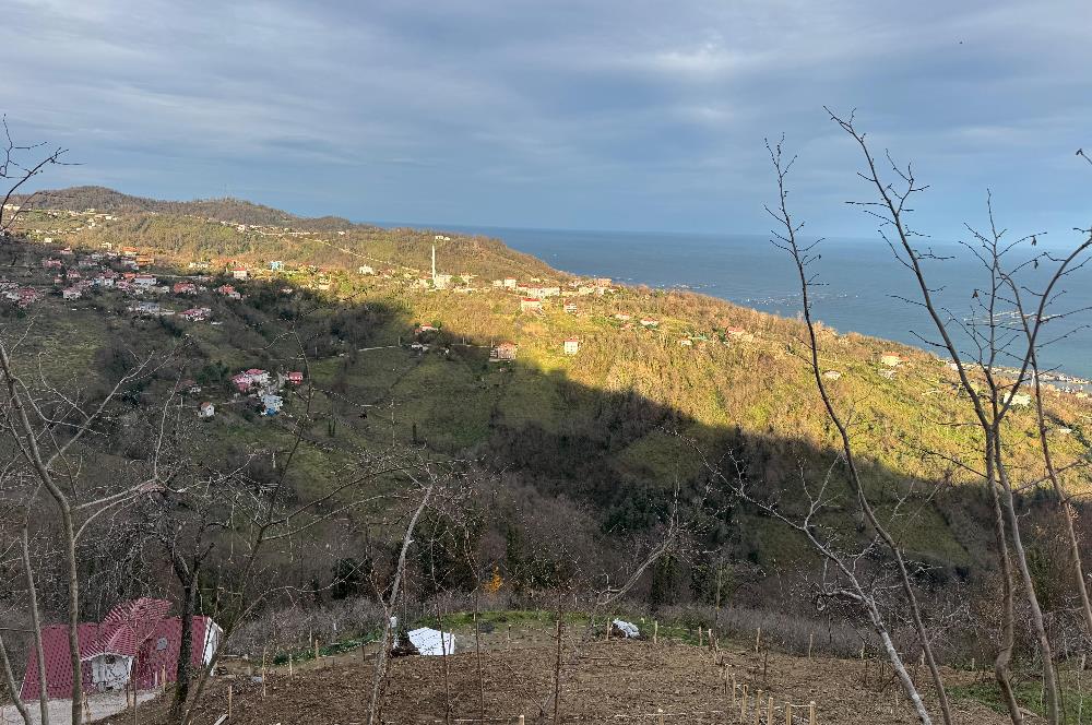 CENTURY21'DEN PERŞEMBE TARLACIK MAH.DENİZ MANZARALI PARSELLER