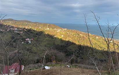 CENTURY21'DEN PERŞEMBE TARLACIK MAH.DENİZ MANZARALI PARSELLER