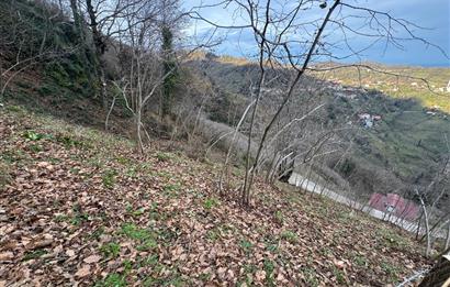 CENTURY21'DEN PERŞEMBE TARLACIK MAH.DENİZ MANZARALI PARSELLER