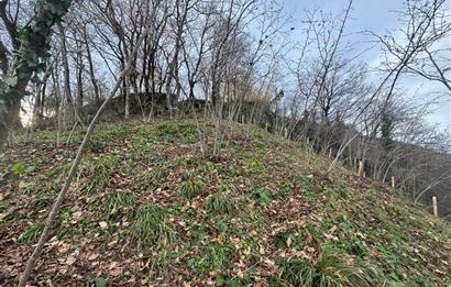 CENTURY21'DEN PERŞEMBE TARLACIK MAH.DENİZ MANZARALI PARSELLER