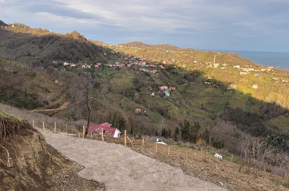 CENTURY21'DEN PERŞEMBE TARLACIK MAH.DENİZ MANZARALI PARSELLER