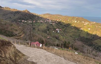 CENTURY21'DEN PERŞEMBE TARLACIK MAH.DENİZ MANZARALI PARSELLER