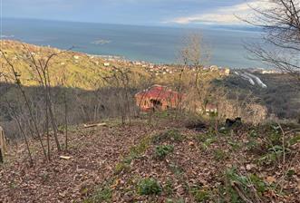 CENTURY21'DEN PERŞEMBE TARLACIK MAH.DENİZ MANZARALI PARSELLER - 1 - 31287