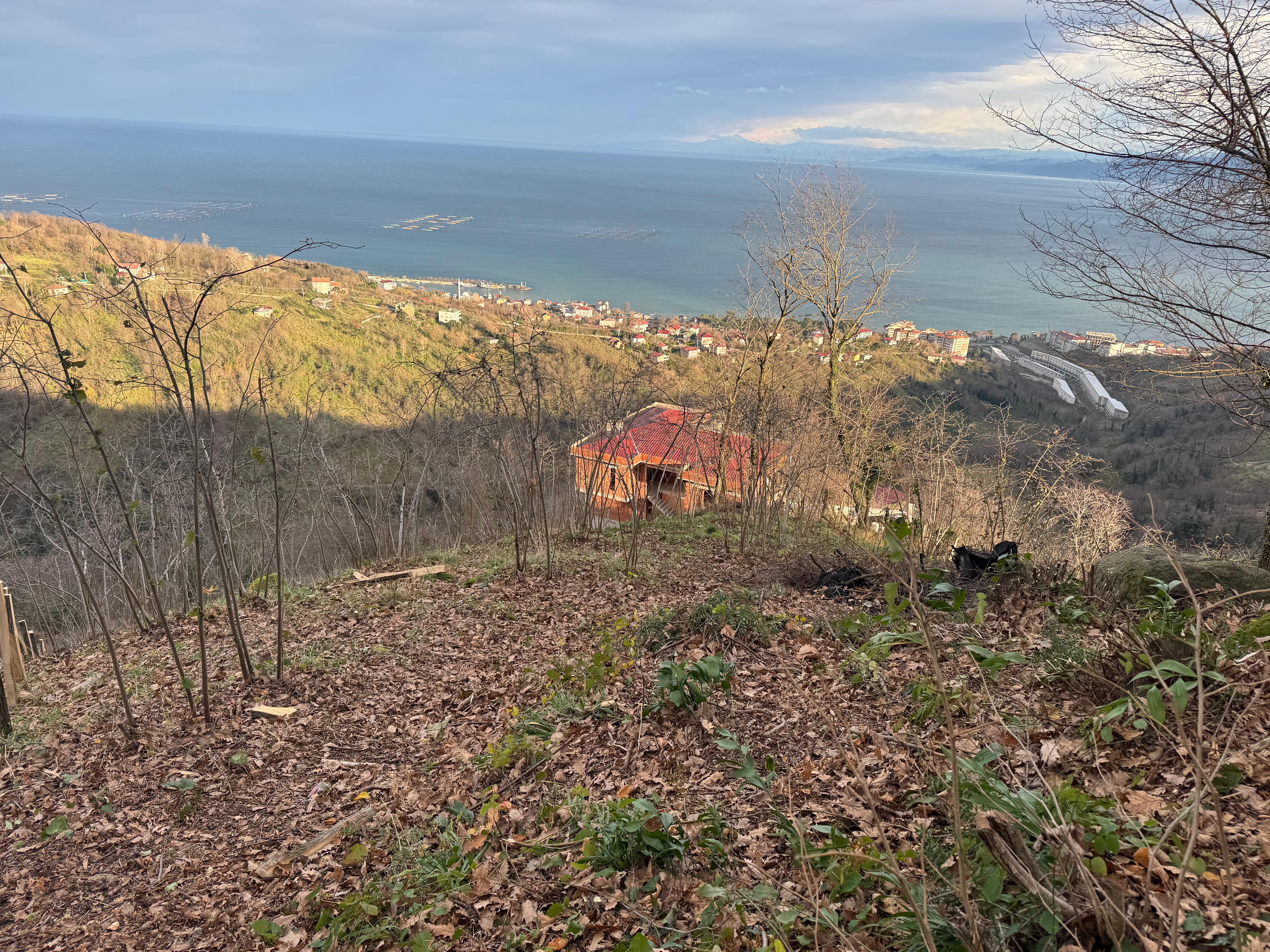 CENTURY21'DEN PERŞEMBE TARLACIK MAH.DENİZ MANZARALI PARSELLER