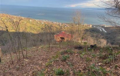 CENTURY21'DEN PERŞEMBE TARLACIK MAH.DENİZ MANZARALI PARSELLER