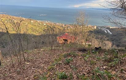 CENTURY21'DEN PERŞEMBE TARLACIK MAH.DENİZ MANZARALI PARSELLER