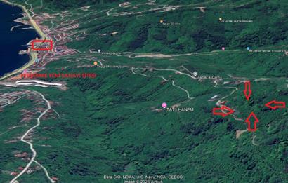 CENTURY21'DEN PERŞEMBE TARLACIK MAH.DENİZ MANZARALI PARSELLER