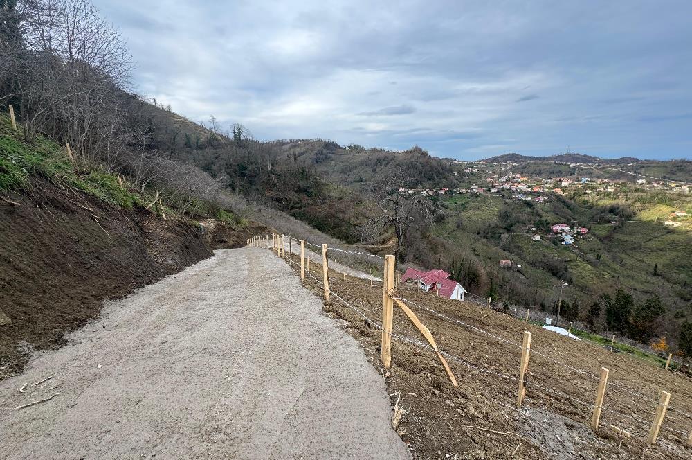 CENTURY21'DEN PERŞEMBE TARLACIK MAH.DENİZ MANZARALI PARSELLER