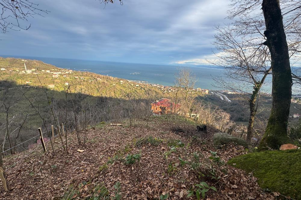 CENTURY21'DEN PERŞEMBE TARLACIK MAH.DENİZ MANZARALI PARSELLER