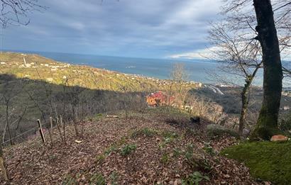 CENTURY21'DEN PERŞEMBE TARLACIK MAH.DENİZ MANZARALI PARSELLER