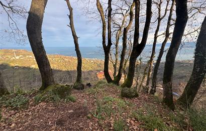 CENTURY21'DEN PERŞEMBE TARLACIK MAH.DENİZ MANZARALI PARSELLER