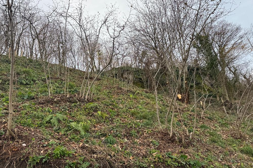 CENTURY21'DEN PERŞEMBE TARLACIK MAH.DENİZ MANZARALI PARSELLER