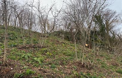 CENTURY21'DEN PERŞEMBE TARLACIK MAH.DENİZ MANZARALI PARSELLER