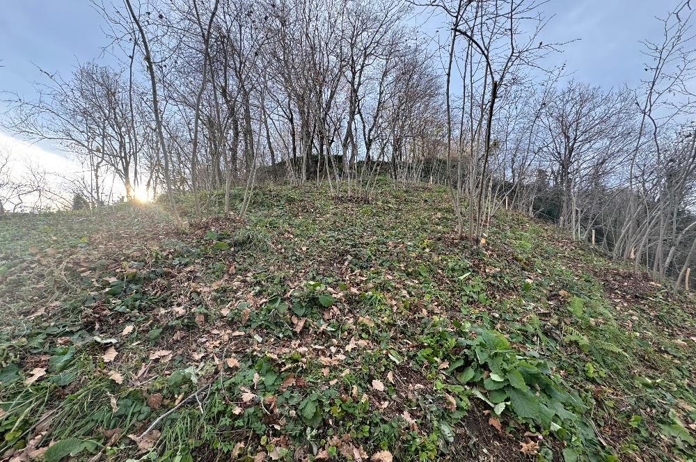 CENTURY21'DEN PERŞEMBE TARLACIK MAH.DENİZ MANZARALI PARSELLER