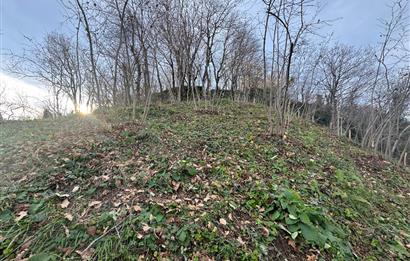 CENTURY21'DEN PERŞEMBE TARLACIK MAH.DENİZ MANZARALI PARSELLER