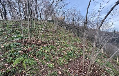 CENTURY21'DEN PERŞEMBE TARLACIK MAH.DENİZ MANZARALI PARSELLER