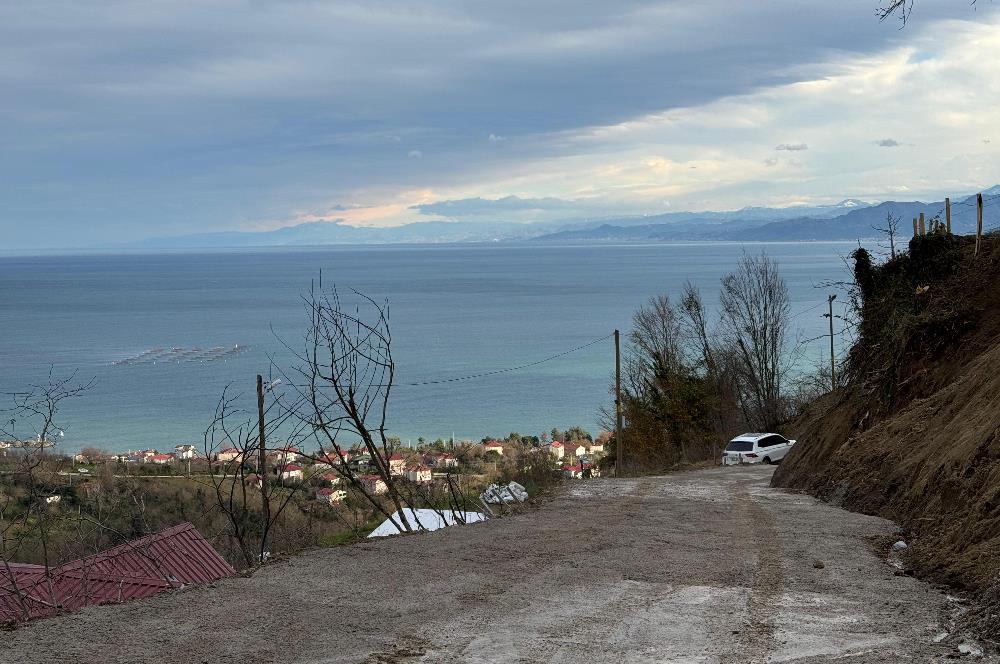 CENTURY21'DEN PERŞEMBE TARLACIK MAH.DENİZ MANZARALI PARSELLER