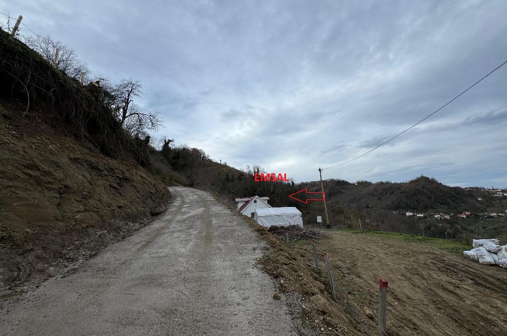 CENTURY21'DEN PERŞEMBE TARLACIK MAH.DENİZ MANZARALI PARSELLER